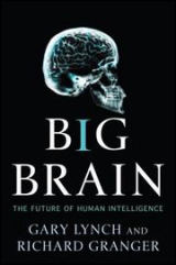 Cover of Big Brain: The Origins and Future of Human Intelligence